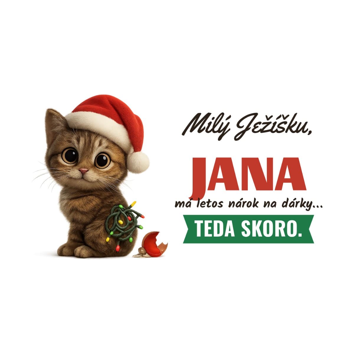 Plecháček se jménem – Milý Ježíšku, teda skoro 2