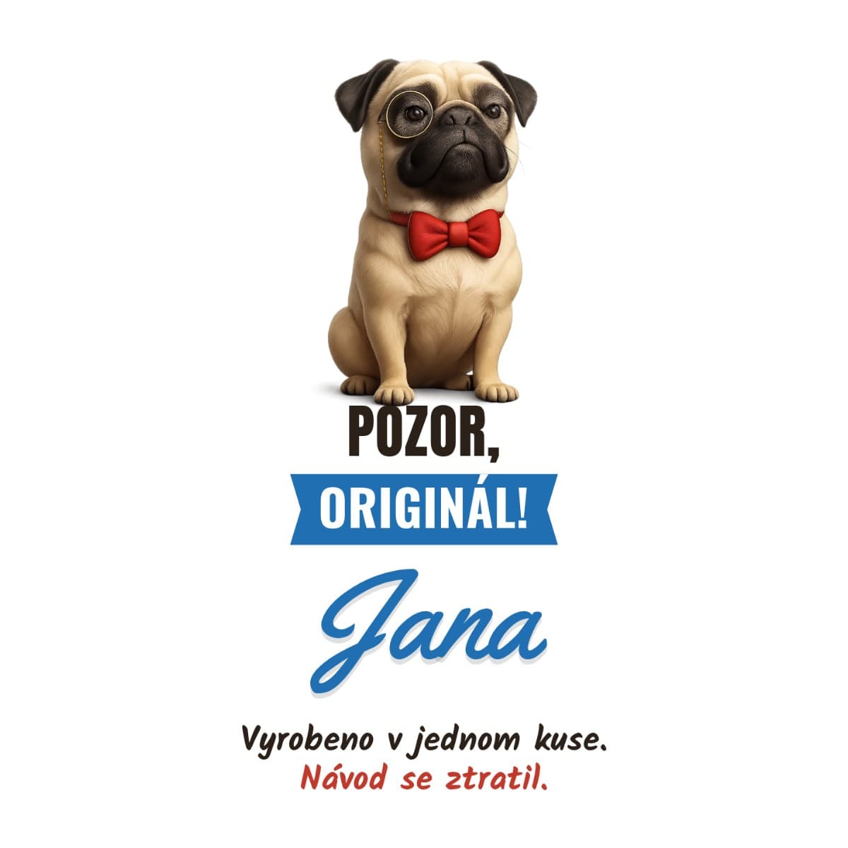 Polštář se jménem – Pozor, originál! 4