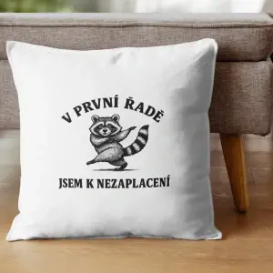 Dekorační polštář V první řadě jsem k nezaplacení