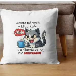 Polštář „Možná to vypadá, že nic nedělám…“ – vtipný polštář s kačerem