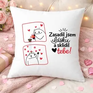 Zamilovaný polštář „Zasadil jsem lásku a sklidil tebe“