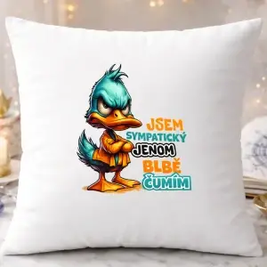 Polštář – Jsem sympatický, jenom blbě čumím