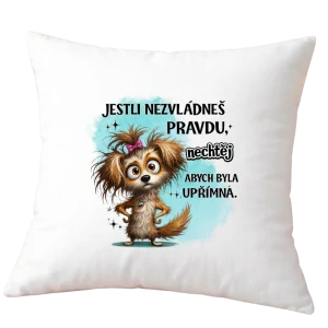 Polštář Jestli nezvládneš pravdu, nechtěj abych byla upřímná